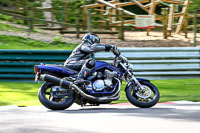 Evening Novice/Inter Blue Bikes