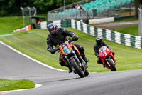 cadwell-no-limits-trackday;cadwell-park;cadwell-park-photographs;cadwell-trackday-photographs;enduro-digital-images;event-digital-images;eventdigitalimages;no-limits-trackdays;peter-wileman-photography;racing-digital-images;trackday-digital-images;trackday-photos