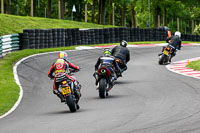 cadwell-no-limits-trackday;cadwell-park;cadwell-park-photographs;cadwell-trackday-photographs;enduro-digital-images;event-digital-images;eventdigitalimages;no-limits-trackdays;peter-wileman-photography;racing-digital-images;trackday-digital-images;trackday-photos