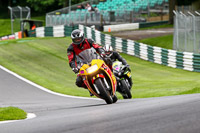 cadwell-no-limits-trackday;cadwell-park;cadwell-park-photographs;cadwell-trackday-photographs;enduro-digital-images;event-digital-images;eventdigitalimages;no-limits-trackdays;peter-wileman-photography;racing-digital-images;trackday-digital-images;trackday-photos