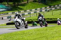 cadwell-no-limits-trackday;cadwell-park;cadwell-park-photographs;cadwell-trackday-photographs;enduro-digital-images;event-digital-images;eventdigitalimages;no-limits-trackdays;peter-wileman-photography;racing-digital-images;trackday-digital-images;trackday-photos