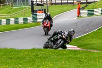 cadwell-no-limits-trackday;cadwell-park;cadwell-park-photographs;cadwell-trackday-photographs;enduro-digital-images;event-digital-images;eventdigitalimages;no-limits-trackdays;peter-wileman-photography;racing-digital-images;trackday-digital-images;trackday-photos