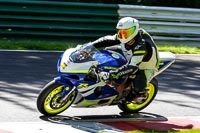 inter Blue Bikes