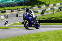 cadwell-no-limits-trackday;cadwell-park;cadwell-park-photographs;cadwell-trackday-photographs;enduro-digital-images;event-digital-images;eventdigitalimages;no-limits-trackdays;peter-wileman-photography;racing-digital-images;trackday-digital-images;trackday-photos