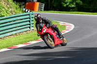 cadwell-no-limits-trackday;cadwell-park;cadwell-park-photographs;cadwell-trackday-photographs;enduro-digital-images;event-digital-images;eventdigitalimages;no-limits-trackdays;peter-wileman-photography;racing-digital-images;trackday-digital-images;trackday-photos