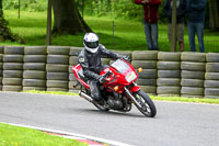 cadwell-no-limits-trackday;cadwell-park;cadwell-park-photographs;cadwell-trackday-photographs;enduro-digital-images;event-digital-images;eventdigitalimages;no-limits-trackdays;peter-wileman-photography;racing-digital-images;trackday-digital-images;trackday-photos