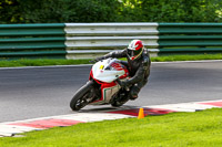 cadwell-no-limits-trackday;cadwell-park;cadwell-park-photographs;cadwell-trackday-photographs;enduro-digital-images;event-digital-images;eventdigitalimages;no-limits-trackdays;peter-wileman-photography;racing-digital-images;trackday-digital-images;trackday-photos