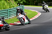 cadwell-no-limits-trackday;cadwell-park;cadwell-park-photographs;cadwell-trackday-photographs;enduro-digital-images;event-digital-images;eventdigitalimages;no-limits-trackdays;peter-wileman-photography;racing-digital-images;trackday-digital-images;trackday-photos