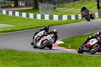 Inter White Bikes