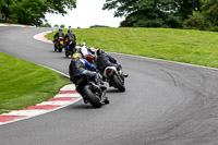 Novice Black Bikes