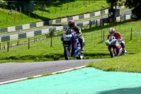 Novice Blue Bikes