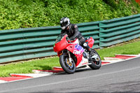 cadwell-no-limits-trackday;cadwell-park;cadwell-park-photographs;cadwell-trackday-photographs;enduro-digital-images;event-digital-images;eventdigitalimages;no-limits-trackdays;peter-wileman-photography;racing-digital-images;trackday-digital-images;trackday-photos