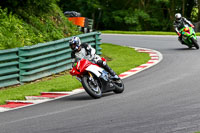 cadwell-no-limits-trackday;cadwell-park;cadwell-park-photographs;cadwell-trackday-photographs;enduro-digital-images;event-digital-images;eventdigitalimages;no-limits-trackdays;peter-wileman-photography;racing-digital-images;trackday-digital-images;trackday-photos