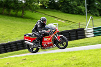 cadwell-no-limits-trackday;cadwell-park;cadwell-park-photographs;cadwell-trackday-photographs;enduro-digital-images;event-digital-images;eventdigitalimages;no-limits-trackdays;peter-wileman-photography;racing-digital-images;trackday-digital-images;trackday-photos