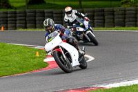 Novice White Bikes