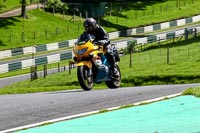 cadwell-no-limits-trackday;cadwell-park;cadwell-park-photographs;cadwell-trackday-photographs;enduro-digital-images;event-digital-images;eventdigitalimages;no-limits-trackdays;peter-wileman-photography;racing-digital-images;trackday-digital-images;trackday-photos