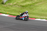Inter Group Multicolour Bikes