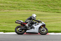Inter Group Silver/Grey Bikes