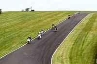 Inter Group White Bikes