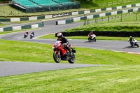 cadwell-no-limits-trackday;cadwell-park;cadwell-park-photographs;cadwell-trackday-photographs;enduro-digital-images;event-digital-images;eventdigitalimages;no-limits-trackdays;peter-wileman-photography;racing-digital-images;trackday-digital-images;trackday-photos
