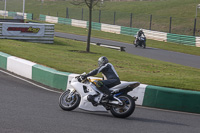 Novice White Bikes