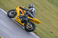 Fast Group Yellow Bikes