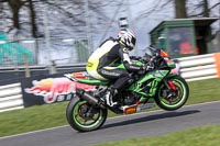 Fast Group Green Bikes