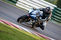 Fast/Inter Group Evening
