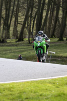 Inter Group Green Bikes