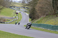 Novice Group Black Bikes