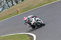 Fast Silver/Grey Bikes