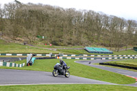 Novice Black Bikes