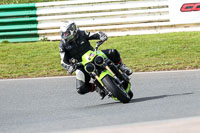 Fast Green Bikes