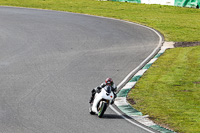 Fast White Bikes