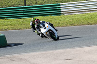 Fast White Bikes