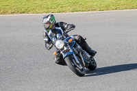 Inter Blue Bikes