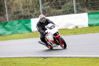Inter White Bikes