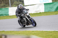 Novice Black Bikes