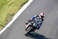 Fast Group Black Bikes