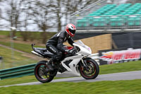 Evening Fast/Inter White Bikes