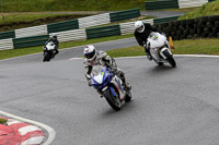 Novice Group Blue Bikes