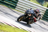 Black Bikes