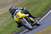 Yellow Bikes