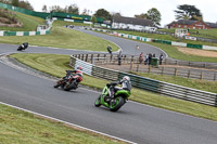 Inter Green Bikes
