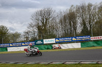 Inter Silver/Grey Bikes
