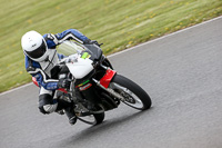 Novice Black Bikes