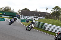 Novice White Bikes