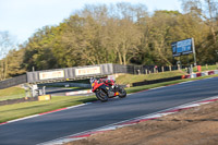 brands-hatch-photographs;brands-no-limits-trackday;cadwell-trackday-photographs;enduro-digital-images;event-digital-images;eventdigitalimages;no-limits-trackdays;peter-wileman-photography;racing-digital-images;trackday-digital-images;trackday-photos