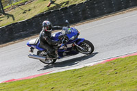 brands-hatch-photographs;brands-no-limits-trackday;cadwell-trackday-photographs;enduro-digital-images;event-digital-images;eventdigitalimages;no-limits-trackdays;peter-wileman-photography;racing-digital-images;trackday-digital-images;trackday-photos