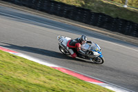 Evening Novice/Inter Silver/Grey Bikes